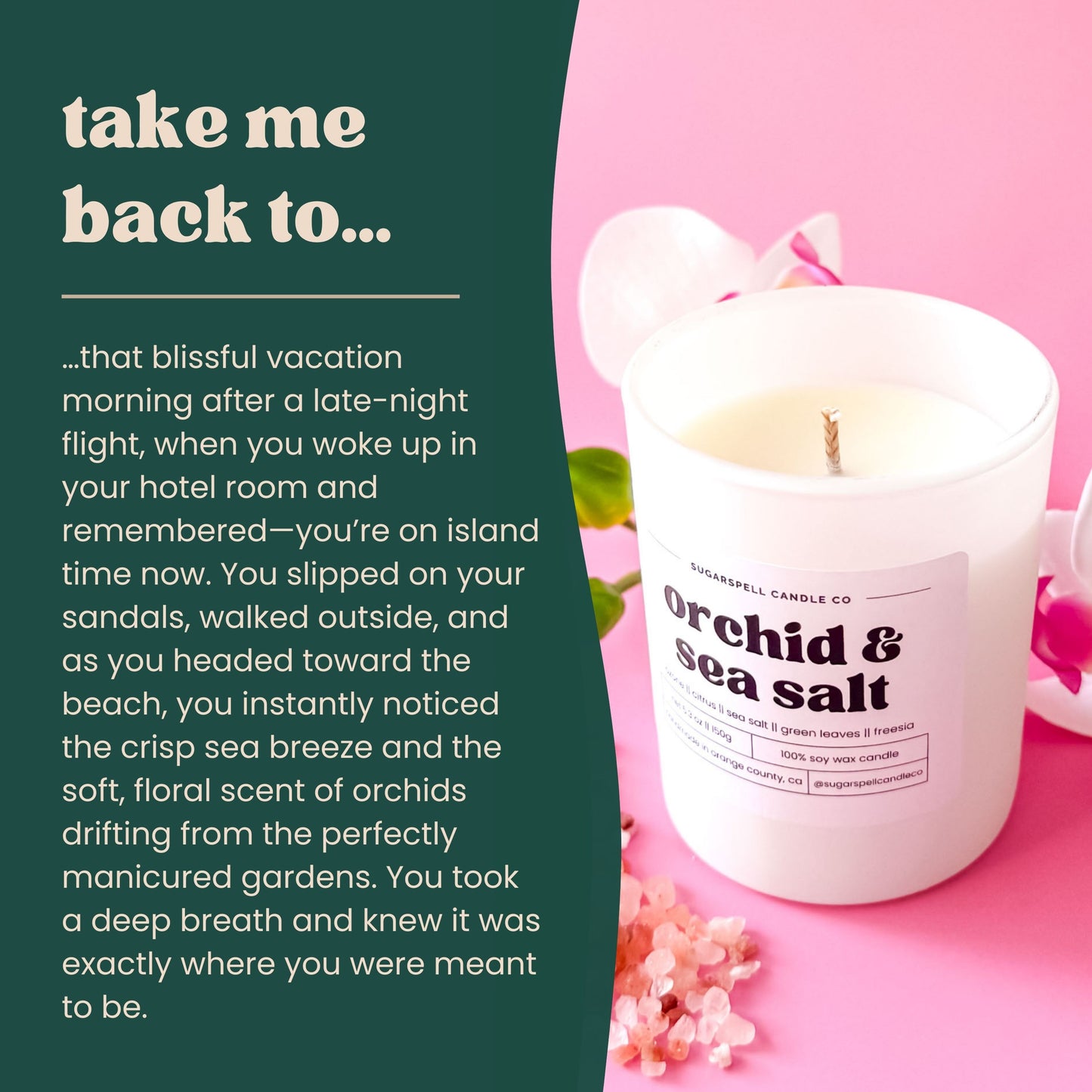 Coastal Daydream Bundle