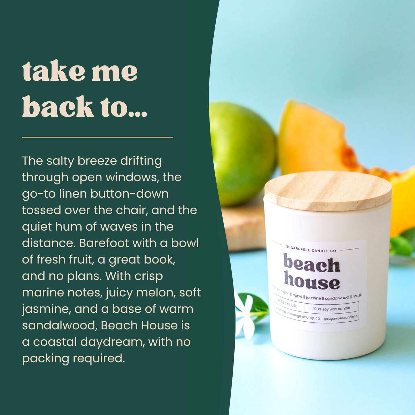 Coastal Daydream Bundle