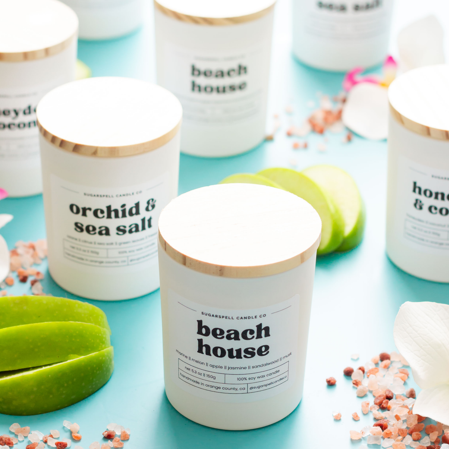 Coastal Daydream Bundle