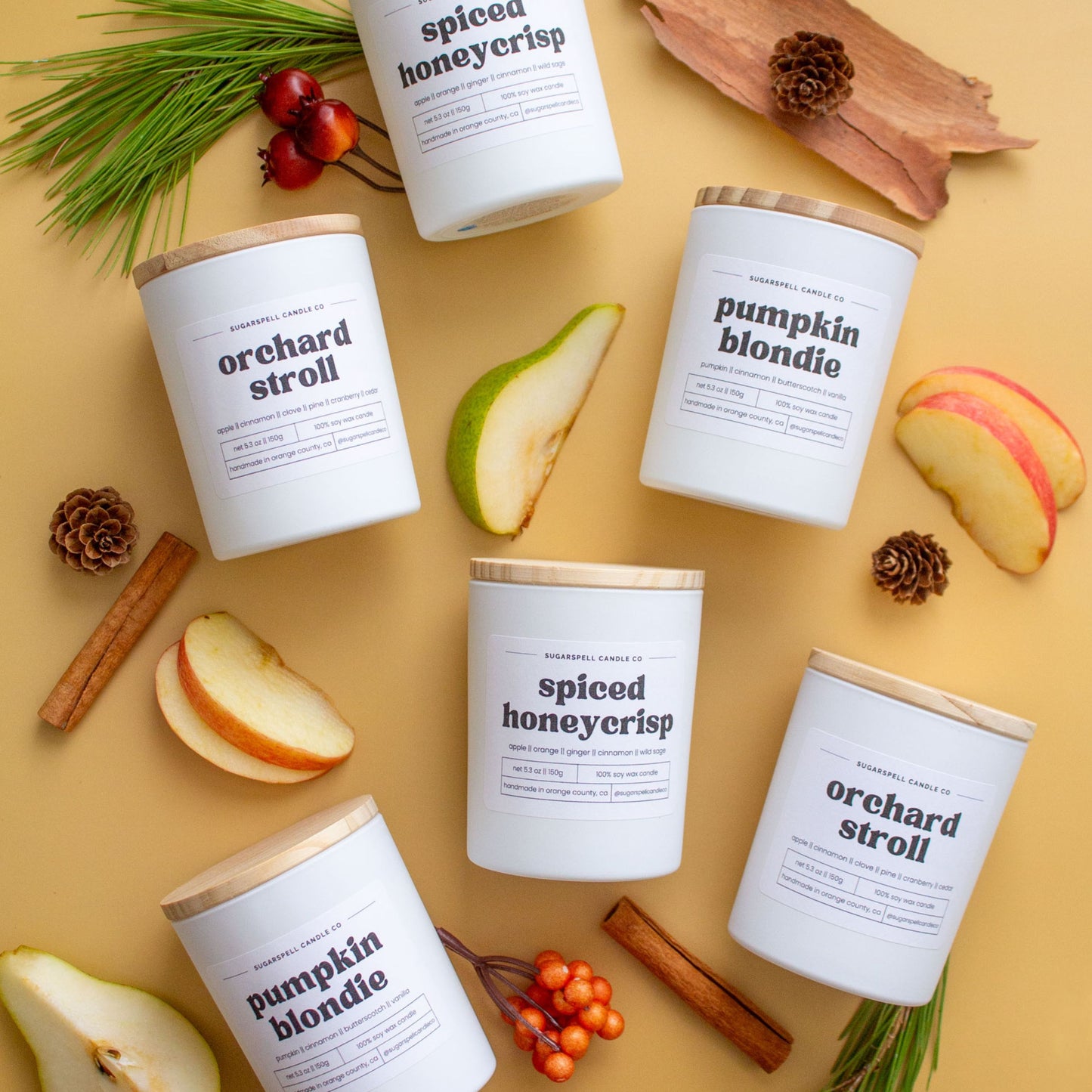 Fall Favorites Bundle