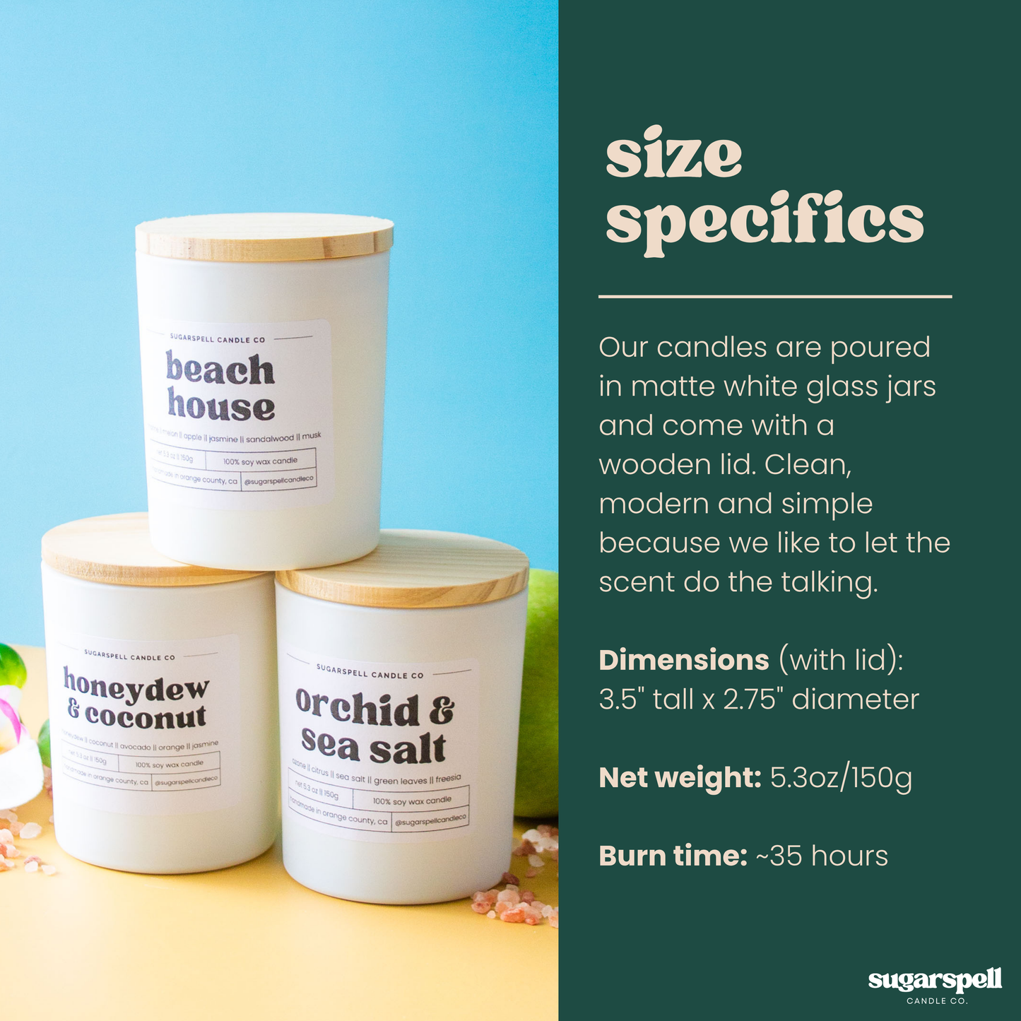 Coastal Daydream Bundle